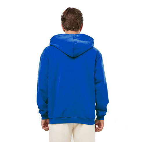 Толстовка на молнии василек